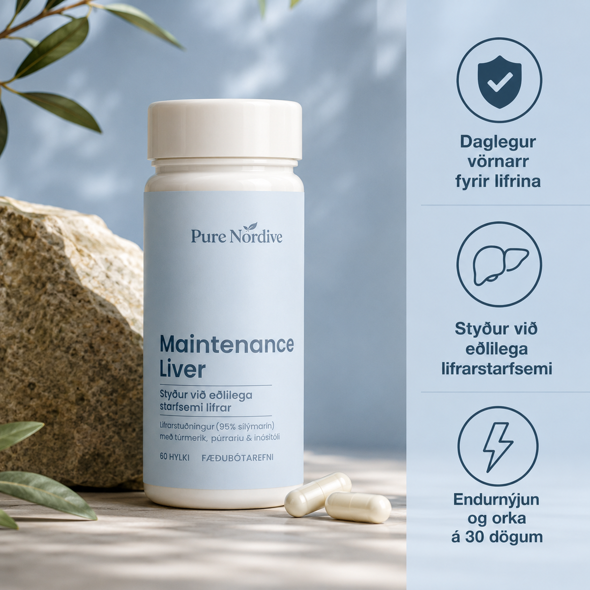 Pure Nordive Maintenance Liver – Liverstuðningur og endurheimt