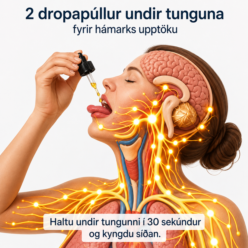 Einföld dagleg rútína